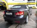 BMW 230 i Cabrio Sport Line Aut Navi/Harman/SHZ/PDC/T Gri - thumbnail 13