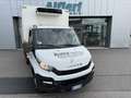 Iveco Daily 35C15 Frigo-20°C 2TempE5B ATP 05 27 3,1x2,0x2,0 Blanc - thumbnail 1