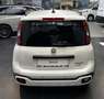 Fiat Panda 4x2 FireFly Hybrid 70 Pandina Weiß - thumbnail 6