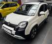 Fiat Panda 4x2 FireFly Hybrid 70 Pandina Weiß - thumbnail 3