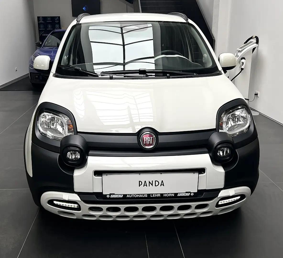 Fiat Panda 4x2 FireFly Hybrid 70 Pandina Weiß - 2