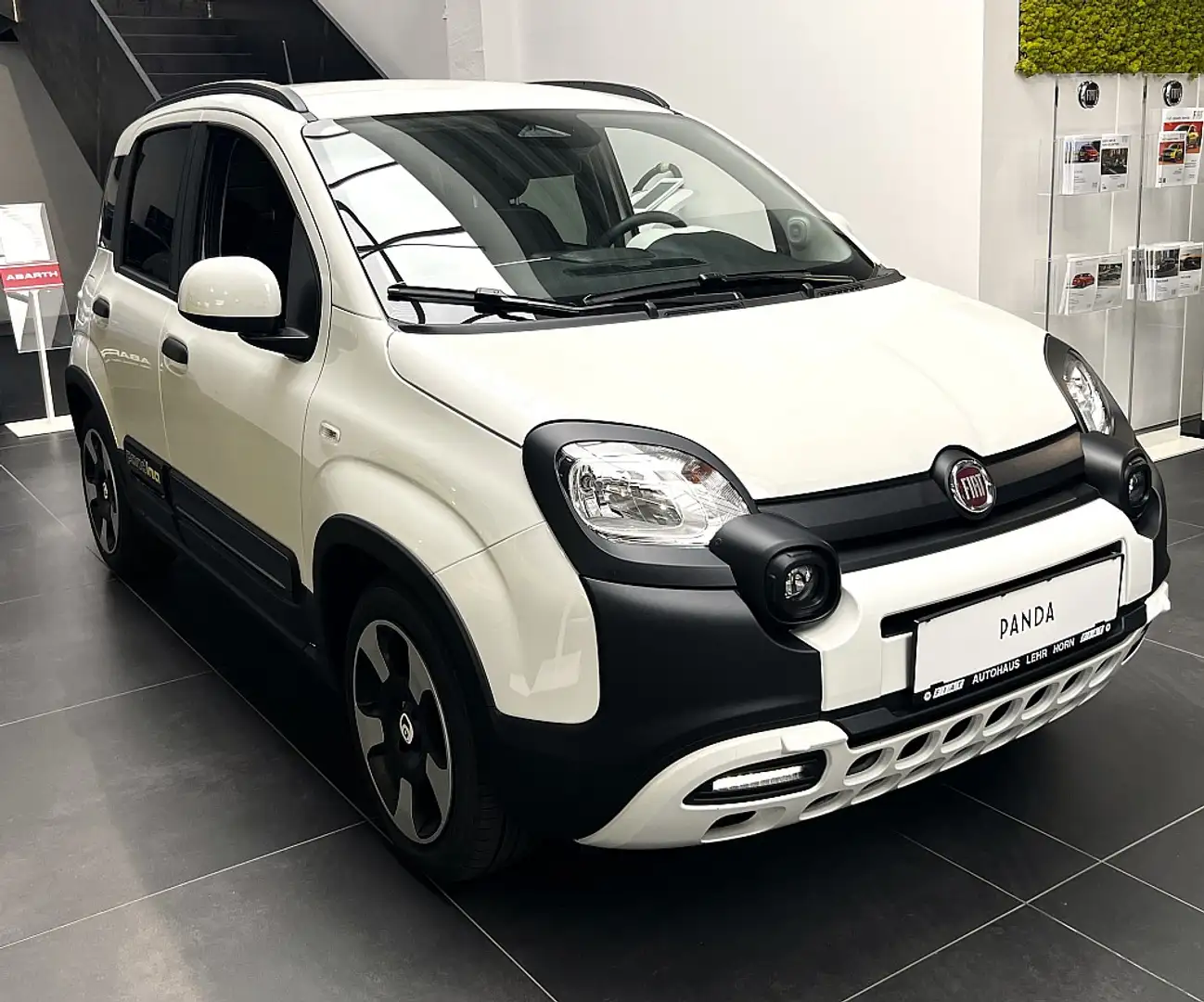 Fiat Panda 4x2 FireFly Hybrid 70 Pandina Weiß - 1