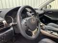 Lexus IS 300 300h Edition|Camera|Navigatie|Climate Control| Grau - thumbnail 12