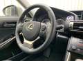 Lexus IS 300 300h Edition|Camera|Navigatie|Climate Control| Grau - thumbnail 24