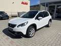 Peugeot 2008 1,2 Pure Tech 110, Allure Stop&Start Weiß - thumbnail 3