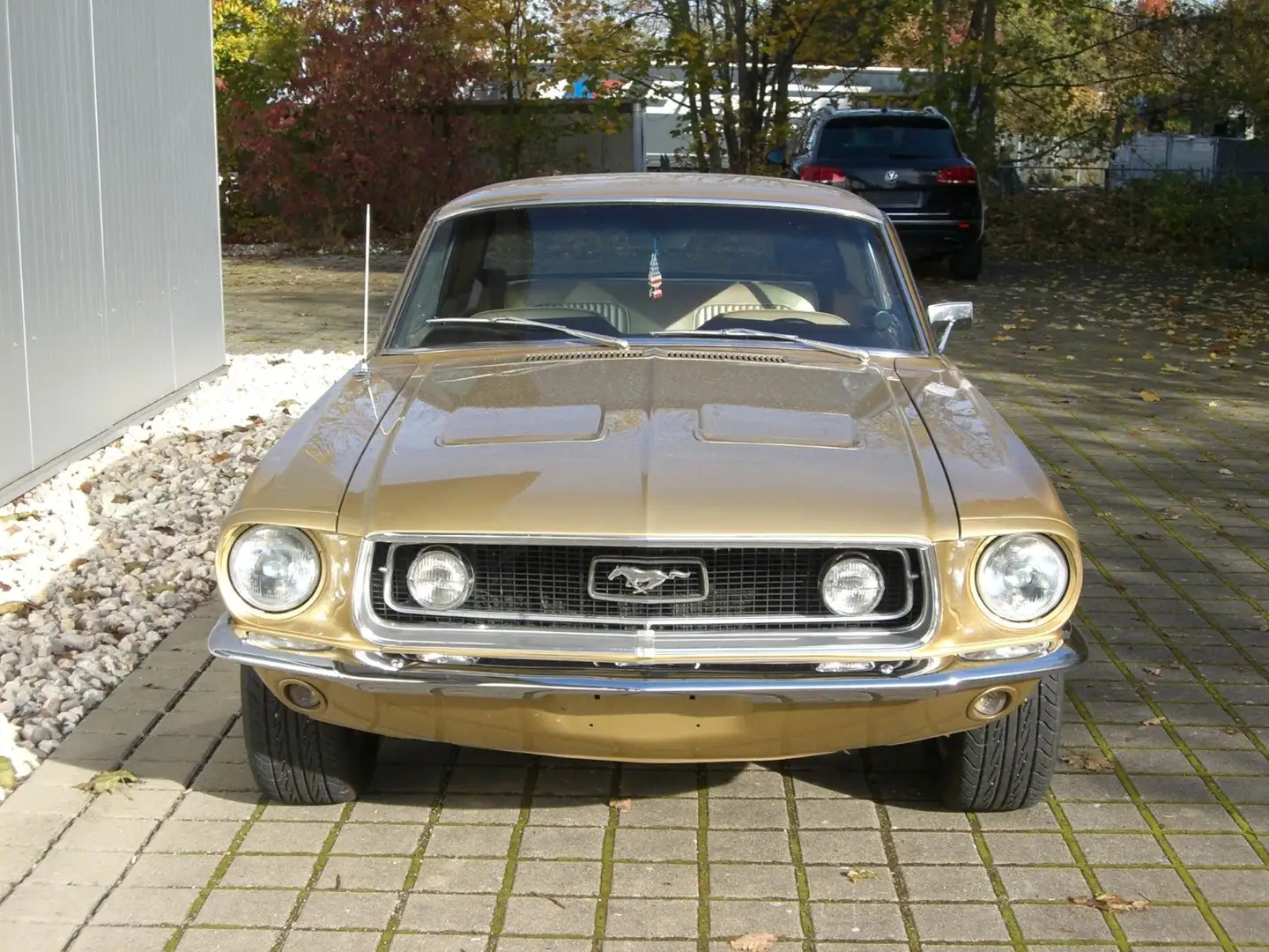 Ford Mustang Hardtop Coupe Altın - 2