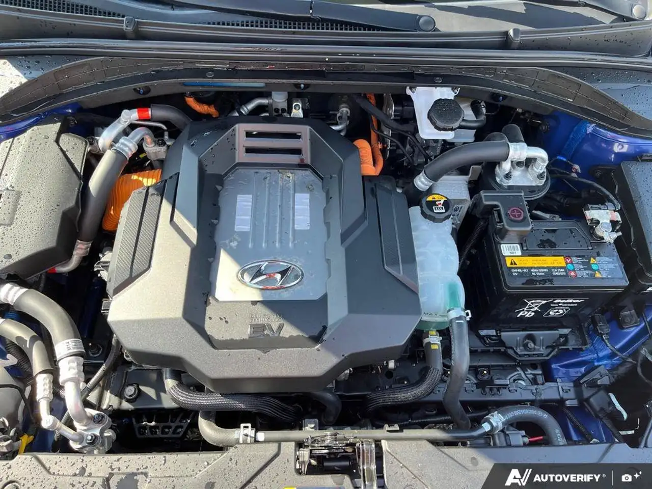 Hyundai IONIQ photo Hyundai IONIQ