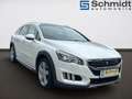 Peugeot 508 SW 2,0 BlueHDI 180 S&S EAT6 RXH Aut. Weiß - thumbnail 6