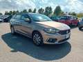 Fiat Tipo SW 1.6 mjt Business E6 Auto Beige - thumbnail 5