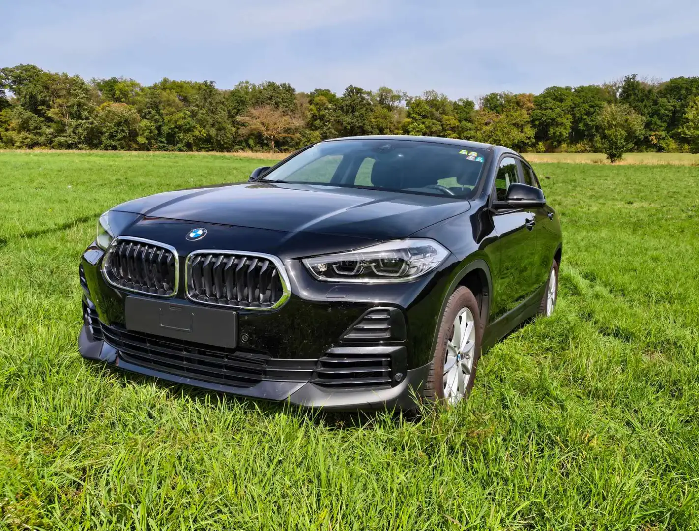 BMW X2 X2 xDrive20i Aut. Schwarz - 1