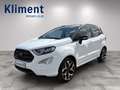 Ford EcoSport 1,0 EcoBoost ST-Line Weiß - thumbnail 11