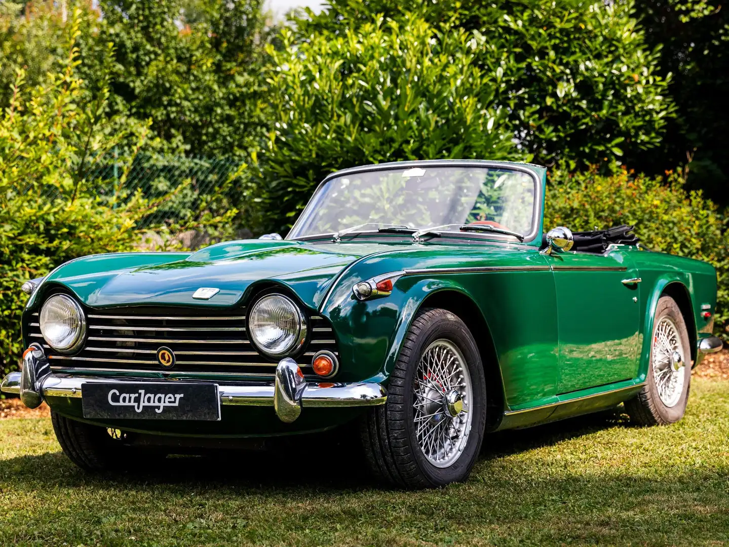 Triumph TR5 PI Verde - 1