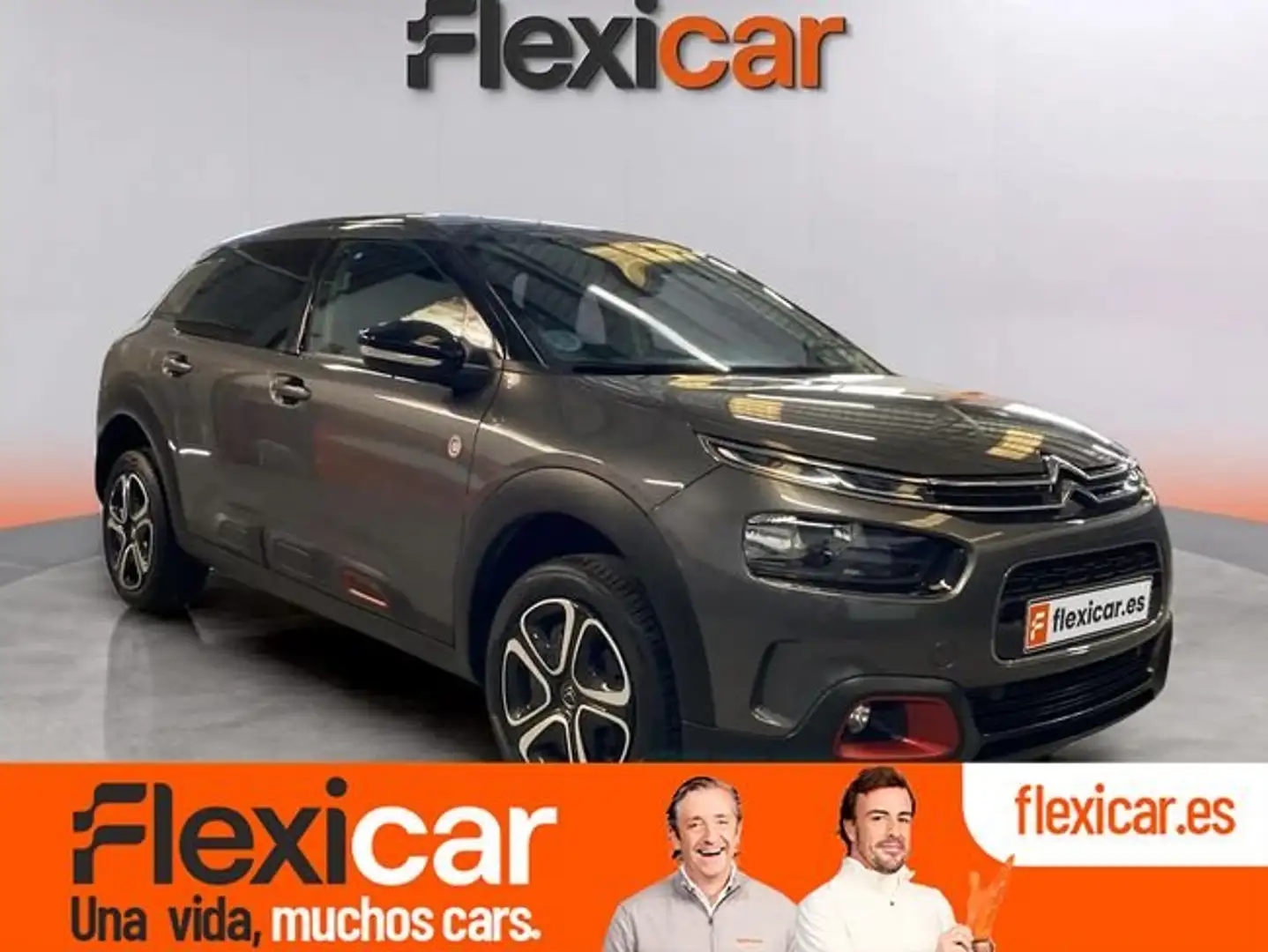 Citroen C4 Cactus 1.5BlueHDi S&S C-Series 100 Grau - 1