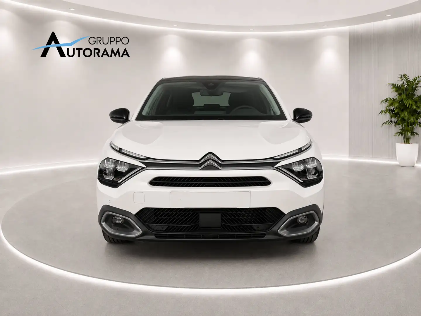 Citroen E-C4 X 136CV 100% ELETTRICA SHINE - KM ZERO Weiß - 2