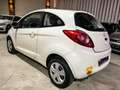 Ford Ka/Ka+ Ambiente Alb - thumbnail 2