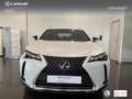 Lexus UX 300h + Blanc - thumbnail 4