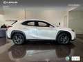 Lexus UX 300h + Blanc - thumbnail 3