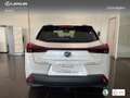 Lexus UX 300h + Blanc - thumbnail 5