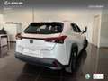 Lexus UX 300h + Blanc - thumbnail 2