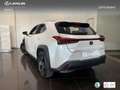 Lexus UX 300h + Blanc - thumbnail 14
