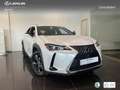Lexus UX 300h + Blanc - thumbnail 12