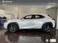 Lexus UX 300h + Blanc - thumbnail 13