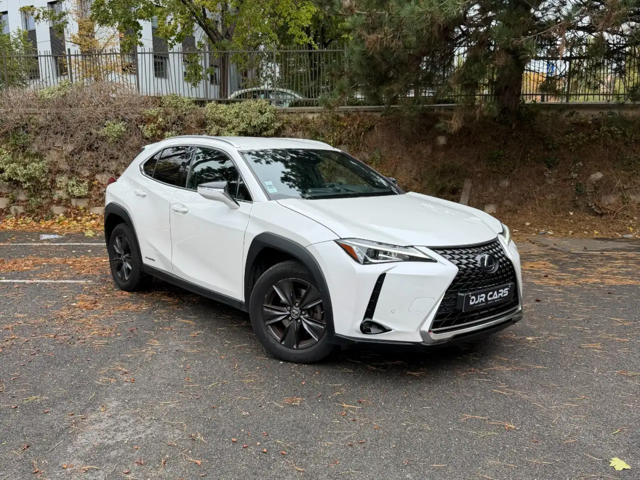 Lexus UX 250h
