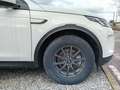 Land Rover Discovery Sport 2.0d ed4 fwd 163cv Bianco - thumbnail 5