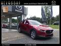 Mazda CX-30 Exclusive-Line 122 Navi|BOSE|360° Rood - thumbnail 3