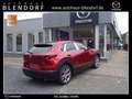 Mazda CX-30 Exclusive-Line 122 Navi|BOSE|360° Rojo - thumbnail 4