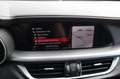 Alfa Romeo Stelvio 2.0 T AWD B-TECH met panoramadak Blauw - thumbnail 17