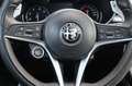 Alfa Romeo Stelvio 2.0 T AWD B-TECH met panoramadak Blauw - thumbnail 24
