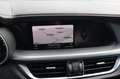 Alfa Romeo Stelvio 2.0 T AWD B-TECH met panoramadak Blauw - thumbnail 15