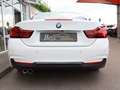 BMW 440 Cabrio 420 i M Sport RFK NAVI Leder Blanc - thumbnail 13