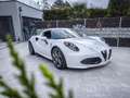 Alfa Romeo 4C 1750 TBi (Top-Zustand!) Weiß - thumbnail 15