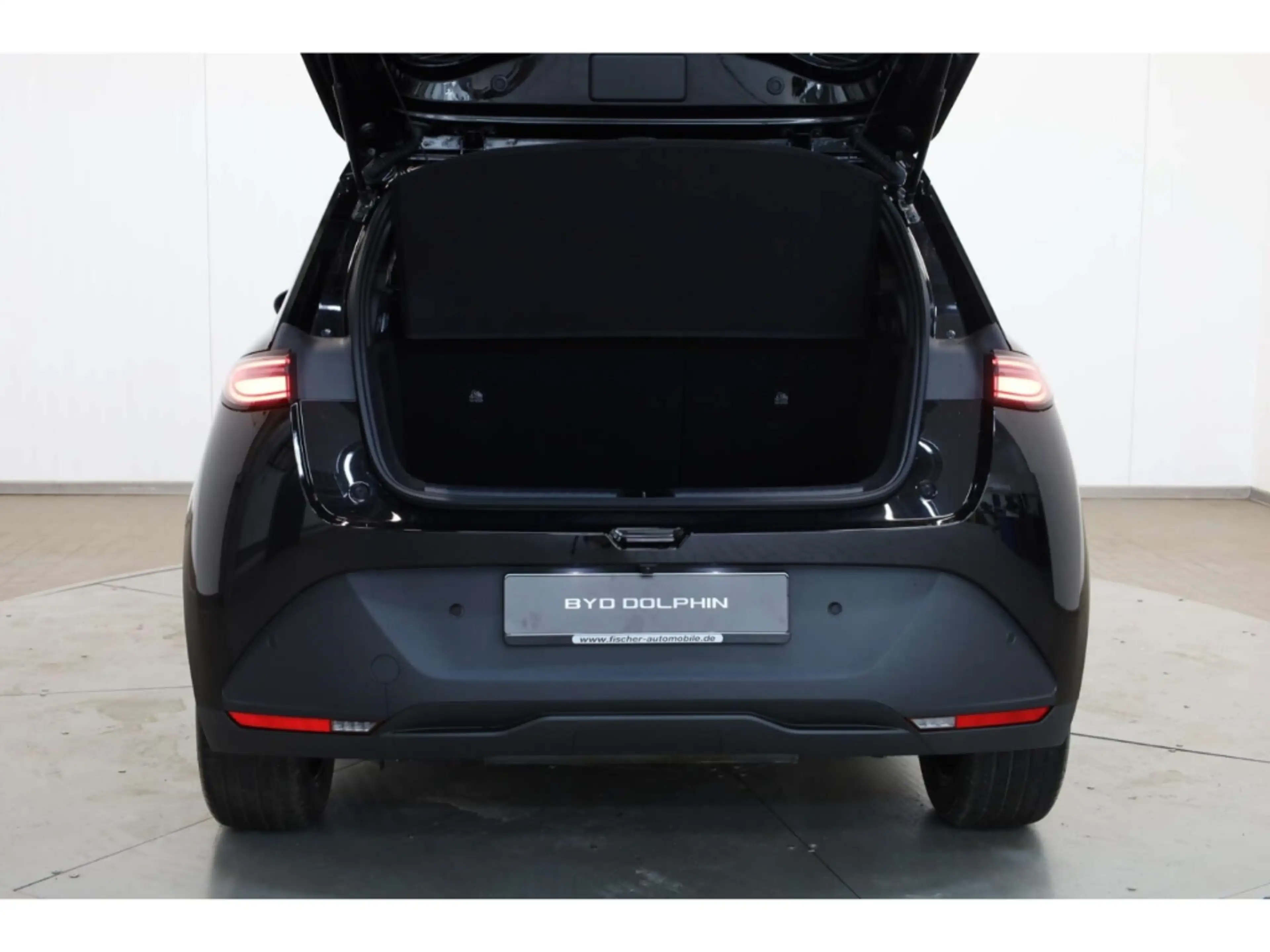BYD Dolphin G DM-i Comfort — photo 12