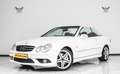 Mercedes-Benz CLK 280 V6 PACK AMG 3.0L Essence / Grand Edition Weiß - thumbnail 1