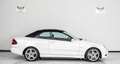 Mercedes-Benz CLK 280 V6 PACK AMG 3.0L Essence / Grand Edition Weiß - thumbnail 8