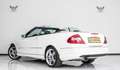 Mercedes-Benz CLK 280 V6 PACK AMG 3.0L Essence / Grand Edition Weiß - thumbnail 6