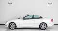 Mercedes-Benz CLK 280 V6 PACK AMG 3.0L Essence / Grand Edition Weiß - thumbnail 7