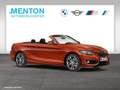 BMW 218 i  SportLine/RFK/Navi/DAB Oranje - thumbnail 10