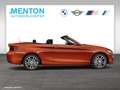 BMW 218 i  SportLine/RFK/Navi/DAB Orange - thumbnail 10