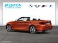 BMW 218 i  SportLine/RFK/Navi/DAB Orange - thumbnail 8