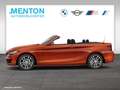BMW 218 i  SportLine/RFK/Navi/DAB Orange - thumbnail 7