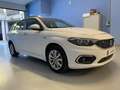 Fiat Tipo SW 1.6 MJT Business S Bianco - thumbnail 4
