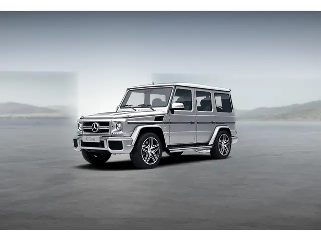 Mercedes-Benz G 63 AMG Rückam+AHK+Standhz.+Distro+Comand