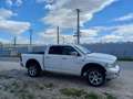 Dodge RAM Weiß - thumbnail 8