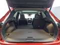 Nissan Qashqai -36% 1.3 HYB 158 BVA+T.PANO+GPS+CAM360+Opts Rouge - thumbnail 48