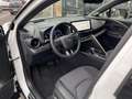 Toyota C-HR Premium Blanc - thumbnail 6