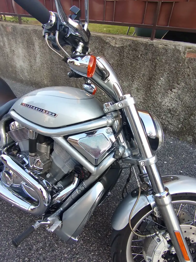 Harley-Davidson V-Rod vrscaw Argent - 2